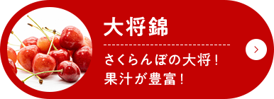 大将錦