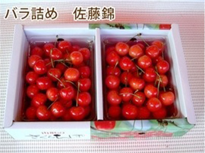 佐藤錦