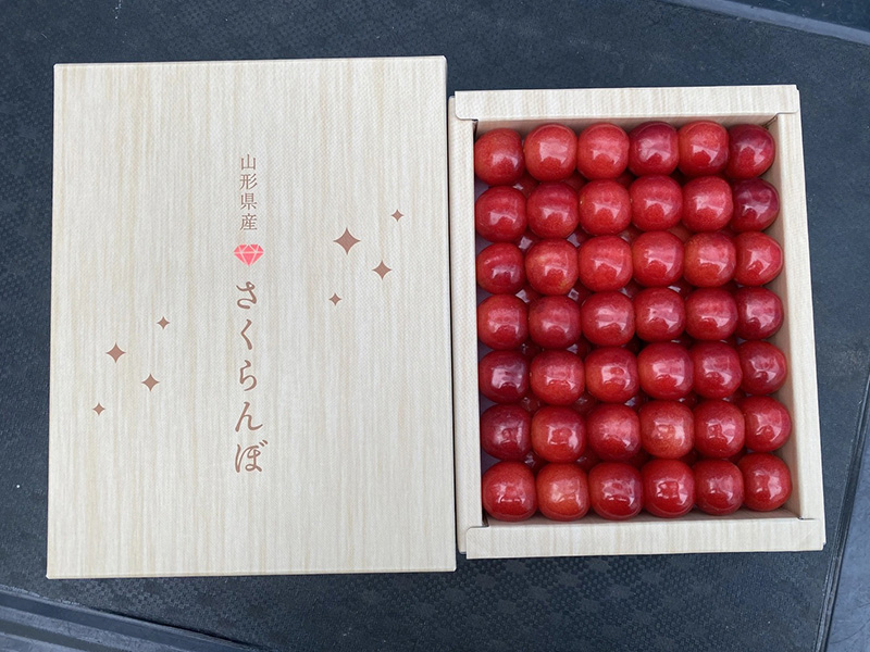 大将錦